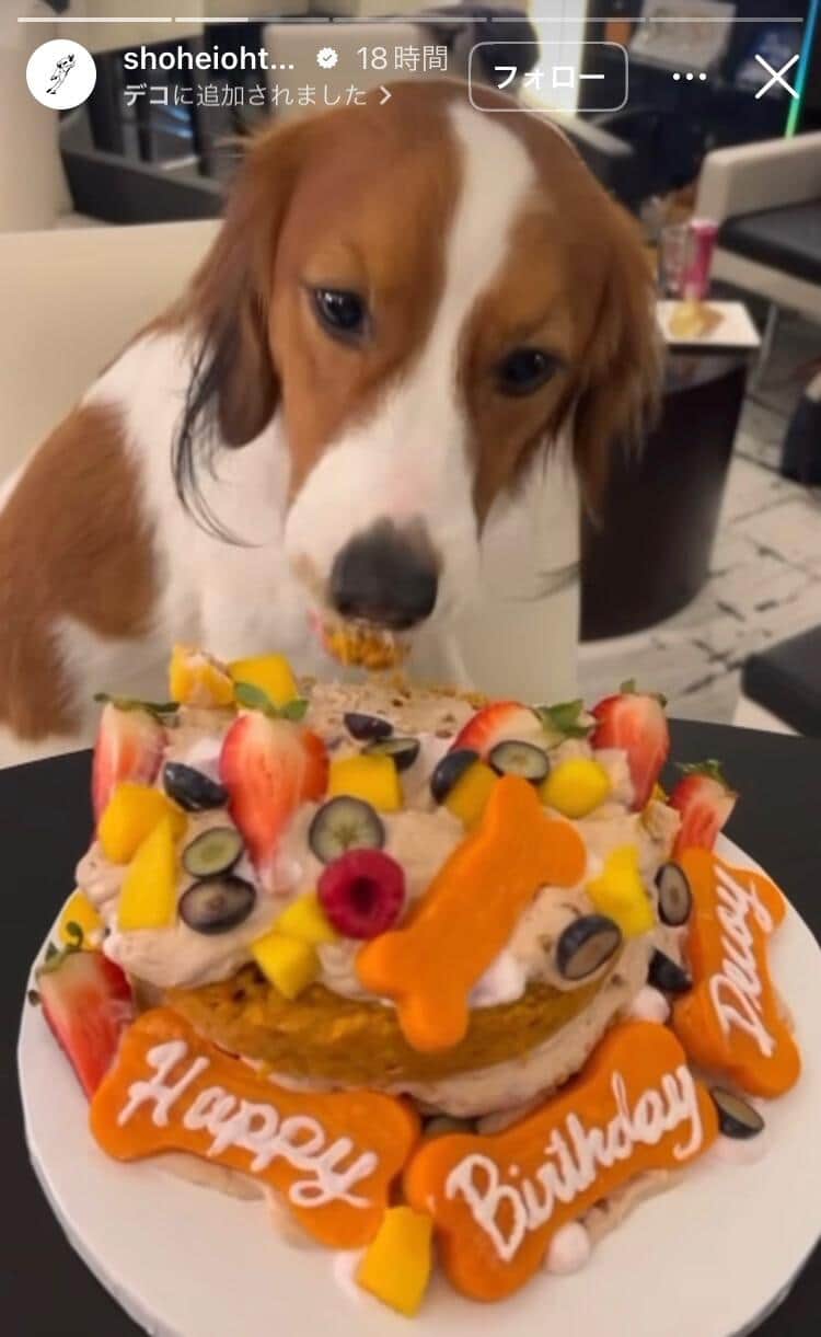 大谷翔平選手のインスタグラム（＠shoheiohtani）より