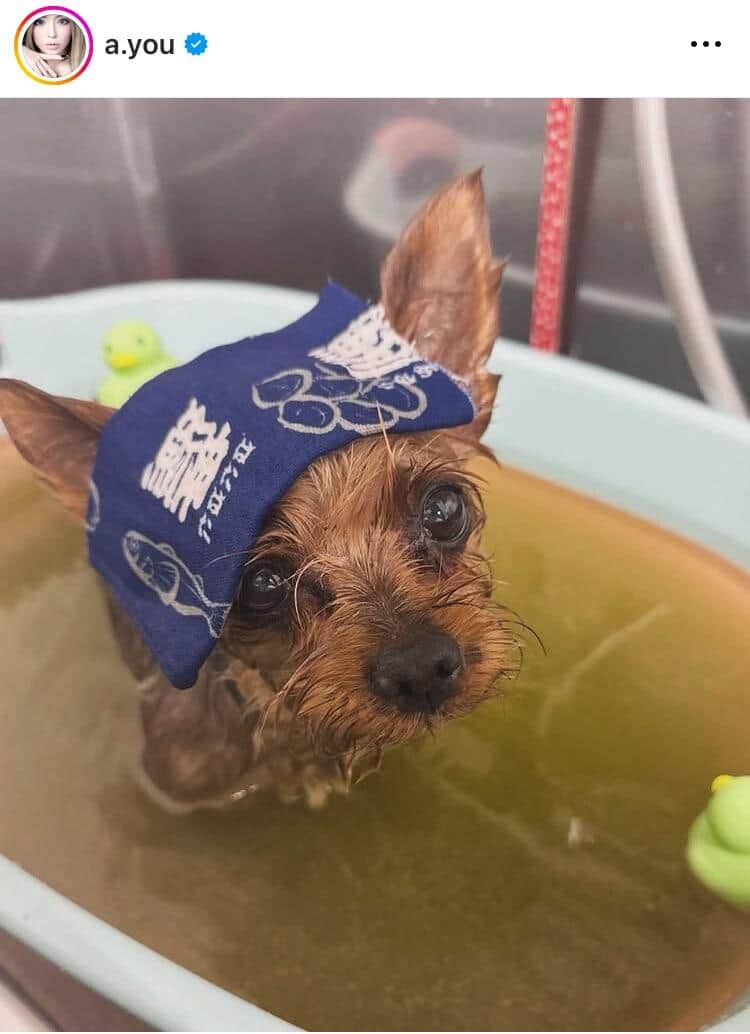 浜崎あゆみさんのインスタグラム（＠a.you）より