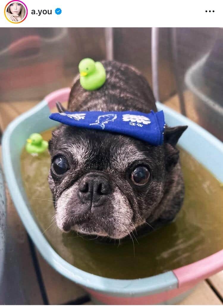 浜崎あゆみさんのインスタグラム（＠a.you）より