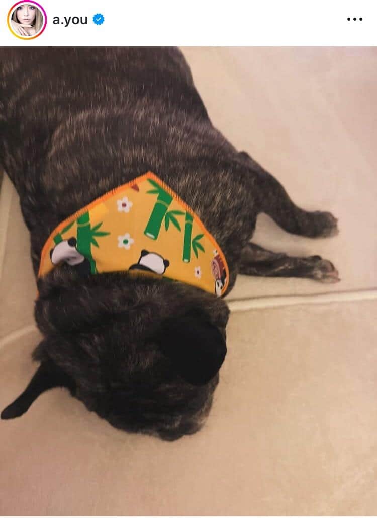 浜崎あゆみさんのインスタグラム（＠a.you）より