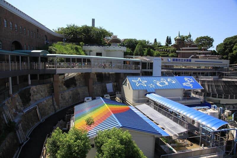 提供：姫路市立水族館