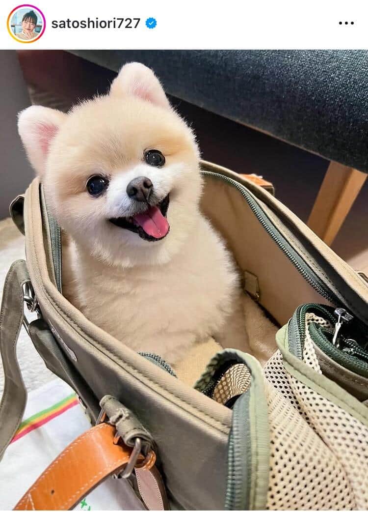 佐藤栞里さんのインスタグラム（＠satoshiori727）より