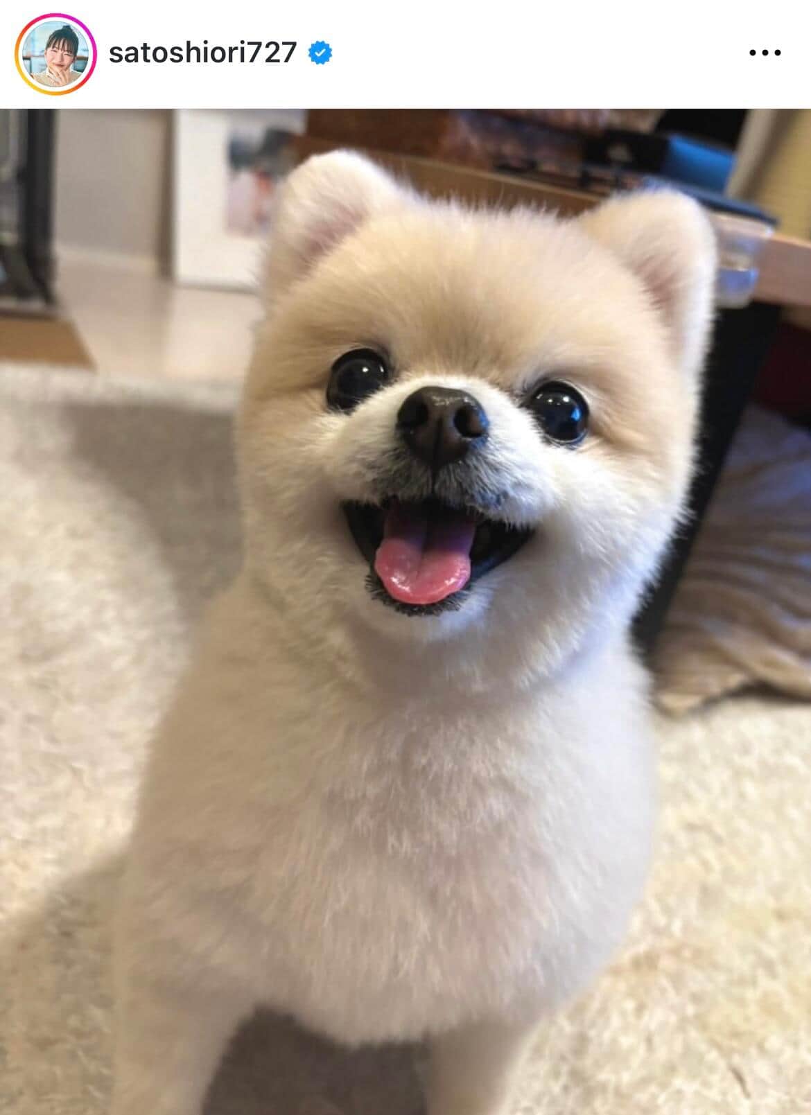 佐藤栞里さんのインスタグラム（＠satoshiori727）より