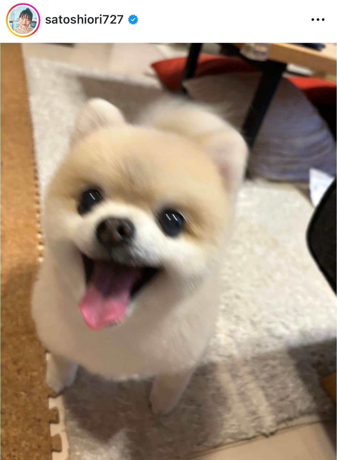 佐藤栞里さんのインスタグラム（＠satoshiori727）より