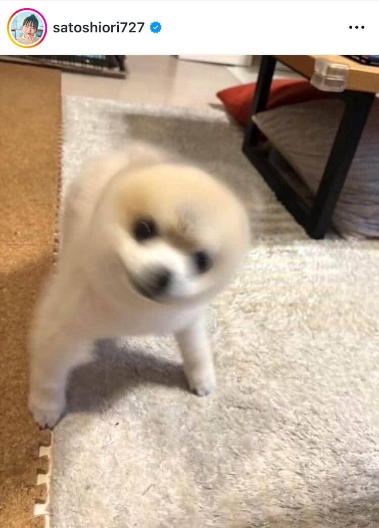 佐藤栞里さんのインスタグラム（＠satoshiori727）より