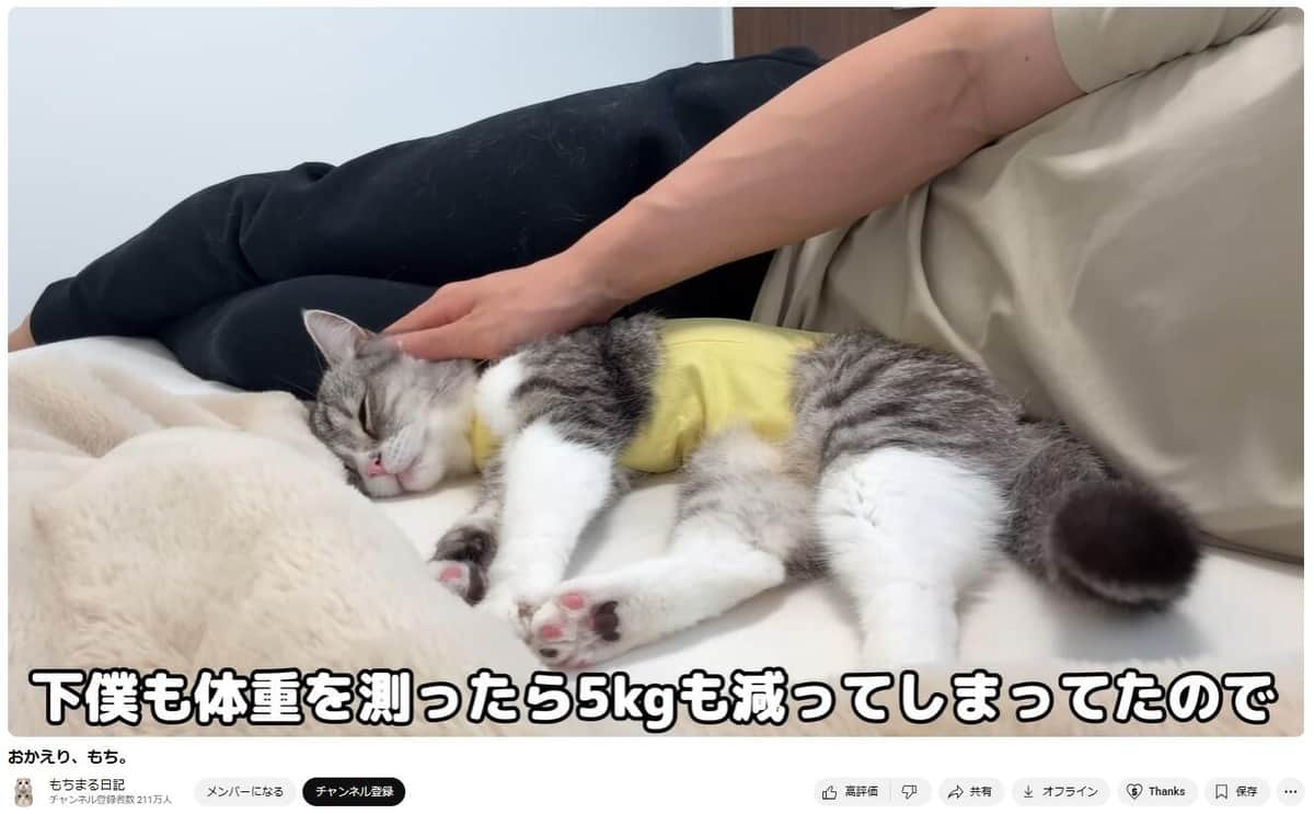 飼い主の「下僕」も体重が5キロも減ってしまったという。YouTubeチャンネル「もちまる日記」から