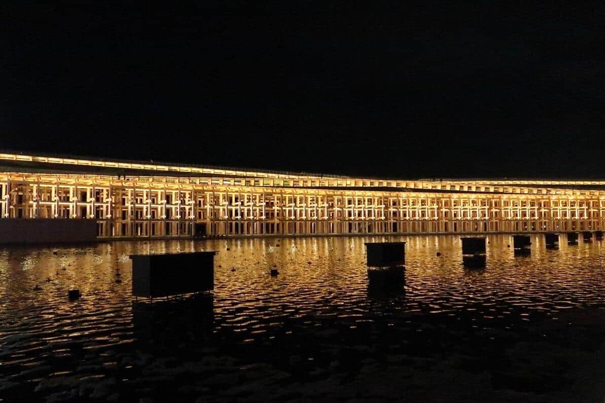 万博でのユスリカ大量発生はいつまで続く？　登録者数193万人の生き物系YouTuberが現地取材で解説