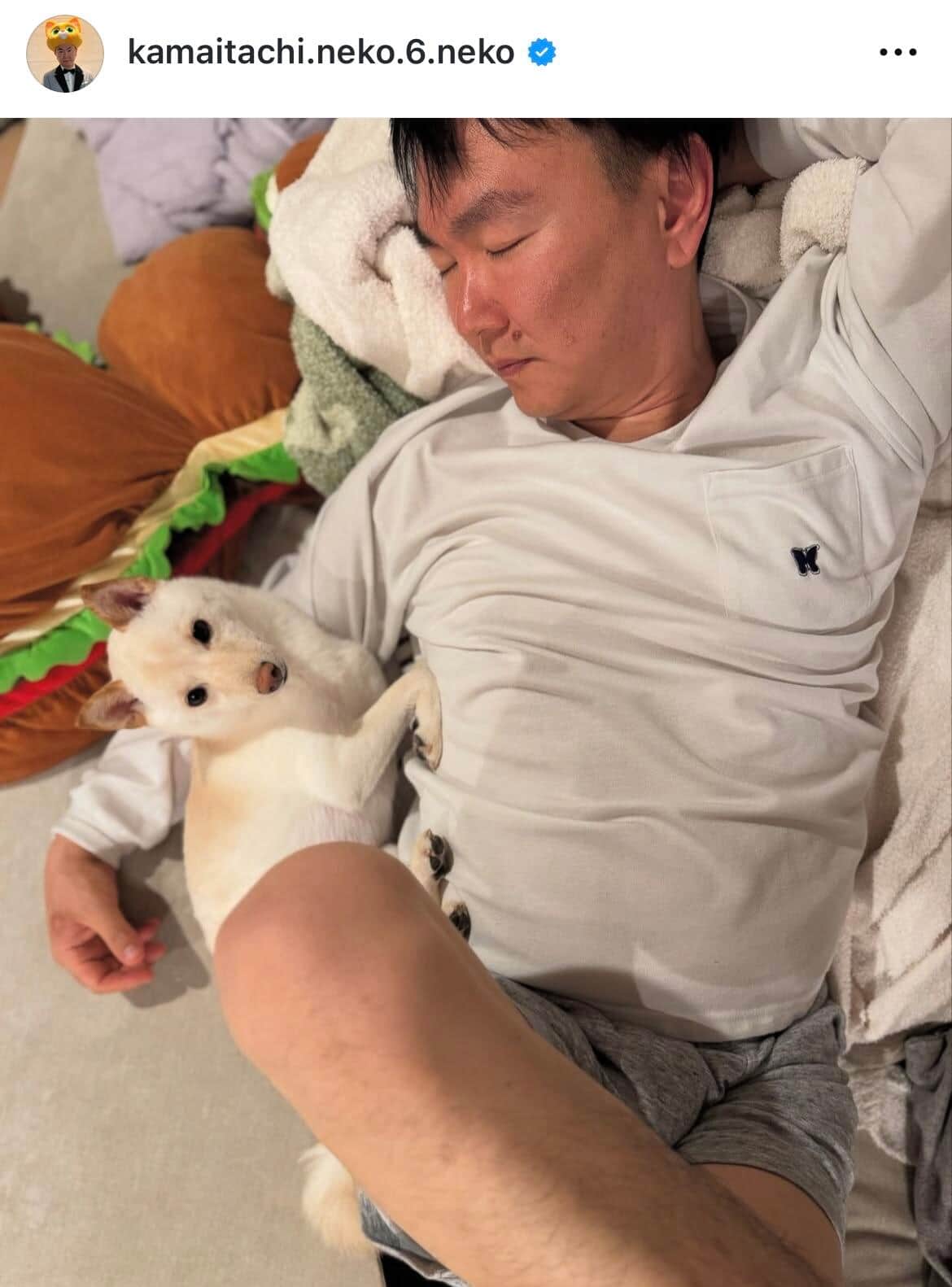 山内健司さんのインスタグラム（＠kamaitachi.neko.6.neko）より