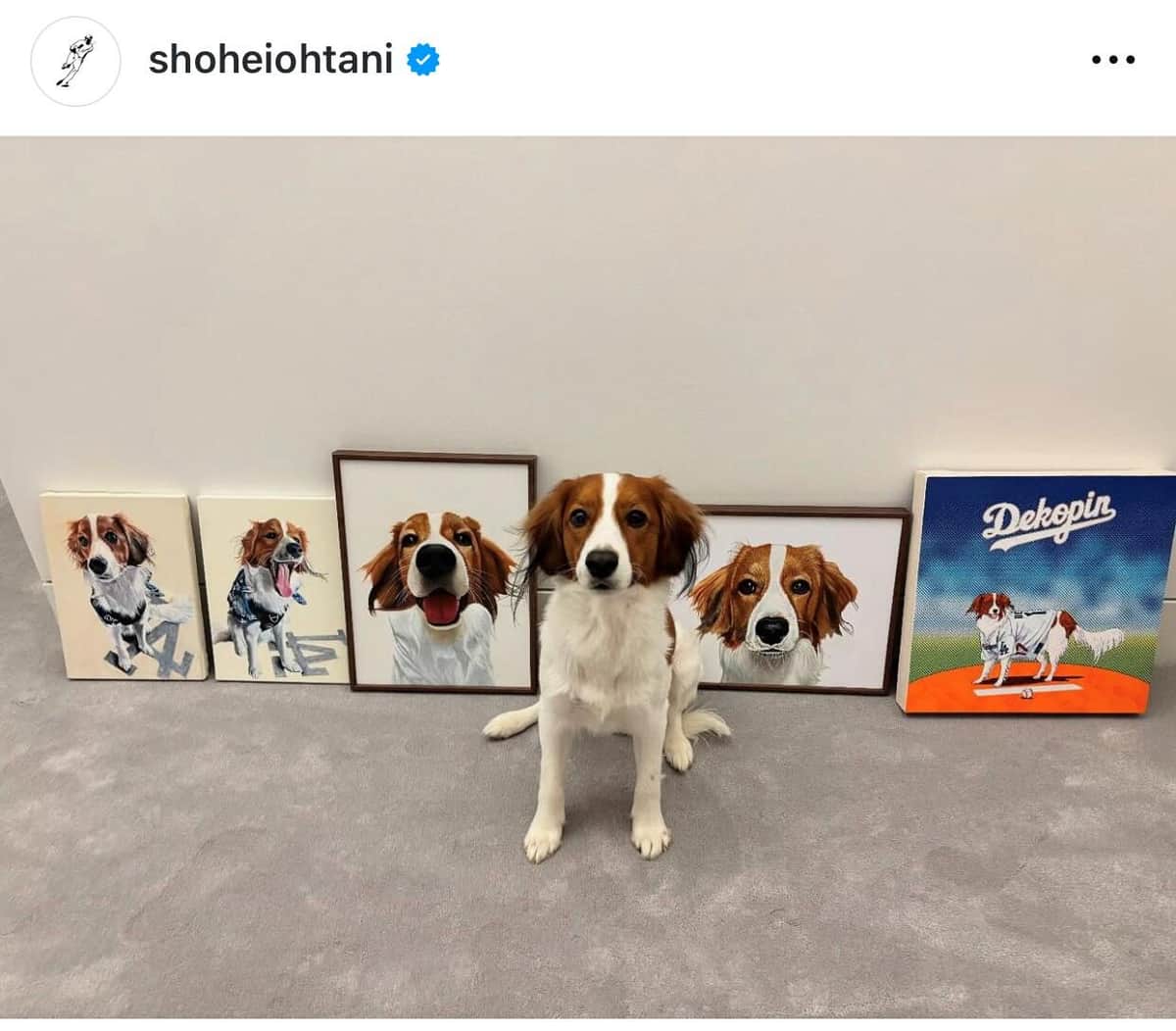 2歳になったデコピン（大谷のインスタグラムより）