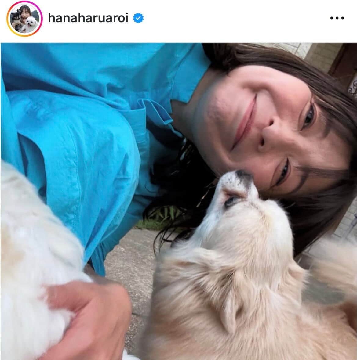 小野真弓さんのインスタグラム（＠hanaharuaroi）より