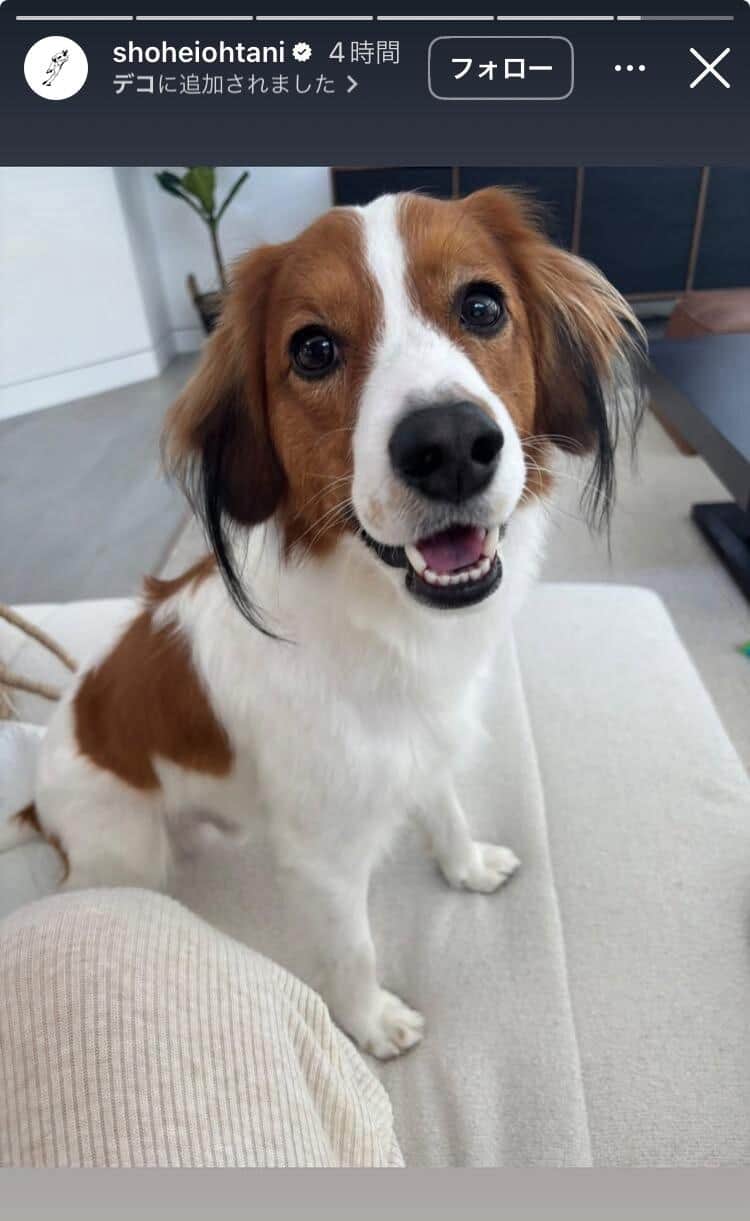 大谷翔平選手のインスタグラム（＠shoheiohtani）より