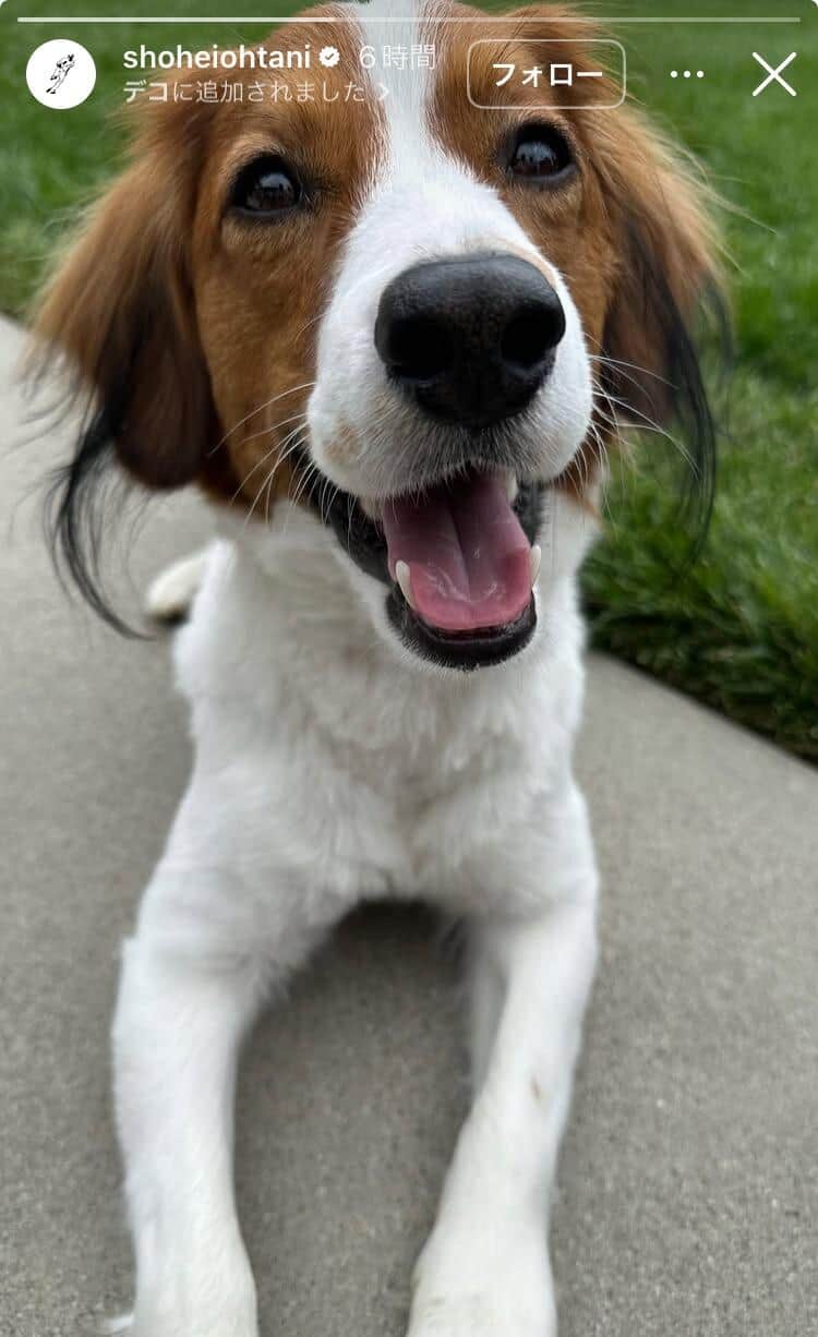 大谷翔平選手のインスタグラム（＠shoheiohtani）より