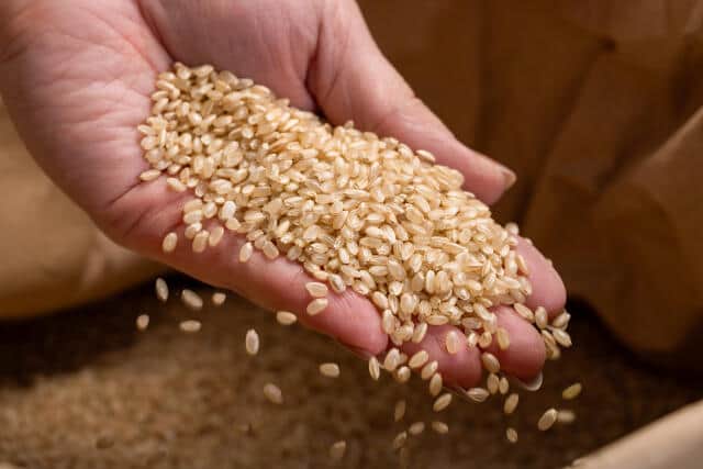玄米は栄養面で優れている