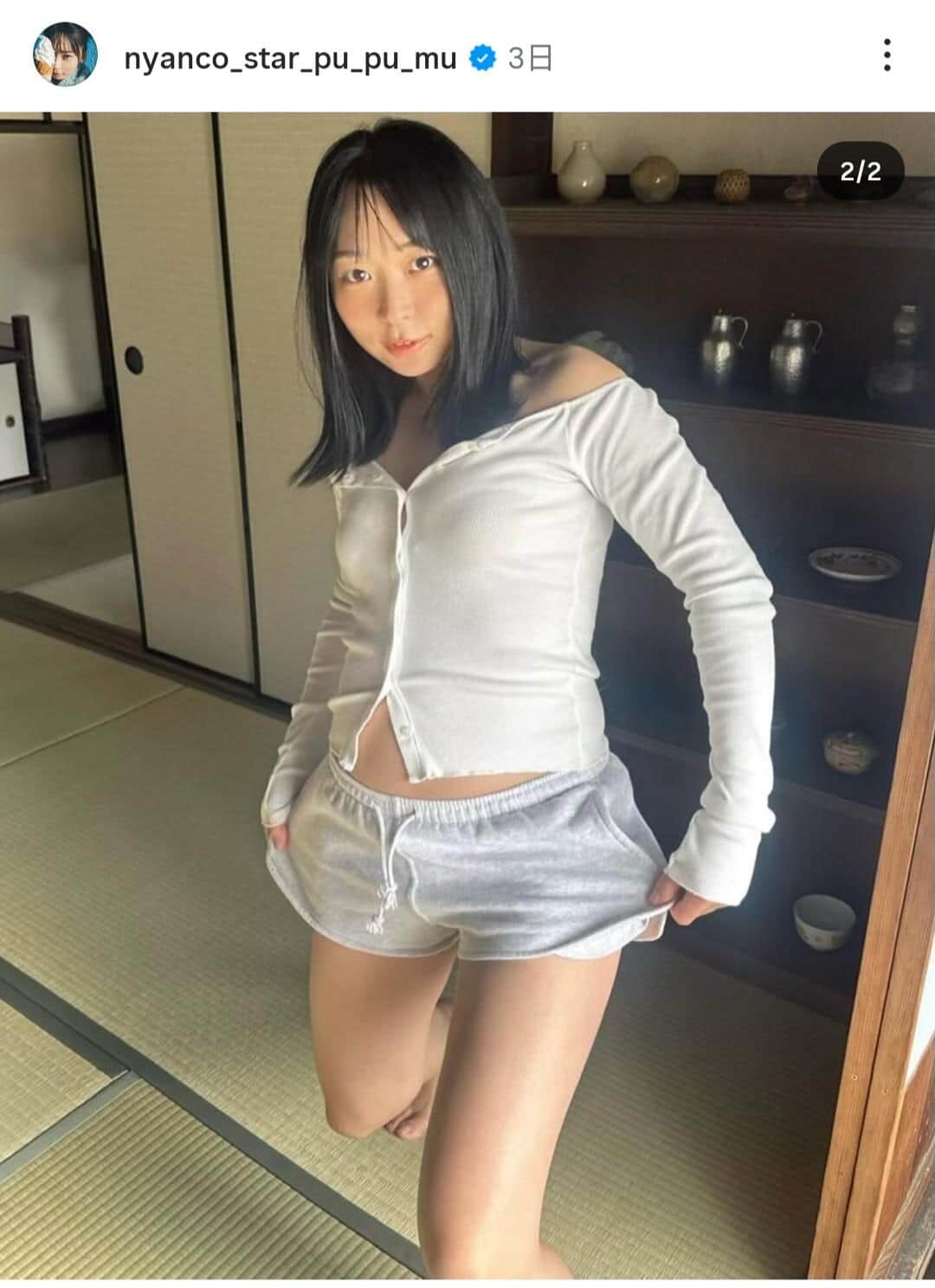 アンゴラ村長さんのインスタグラム（＠nyanco_star_pu_pu_mu）より