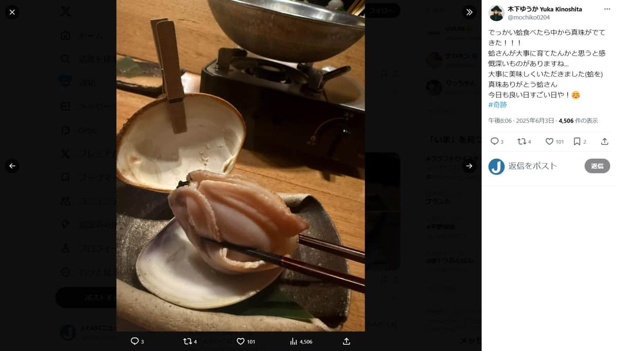 木下ゆうかさんのX（＠mochiko0204）より