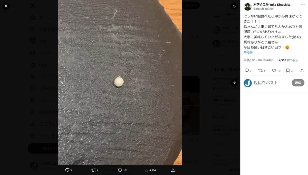木下ゆうかさんのX（＠mochiko0204）より