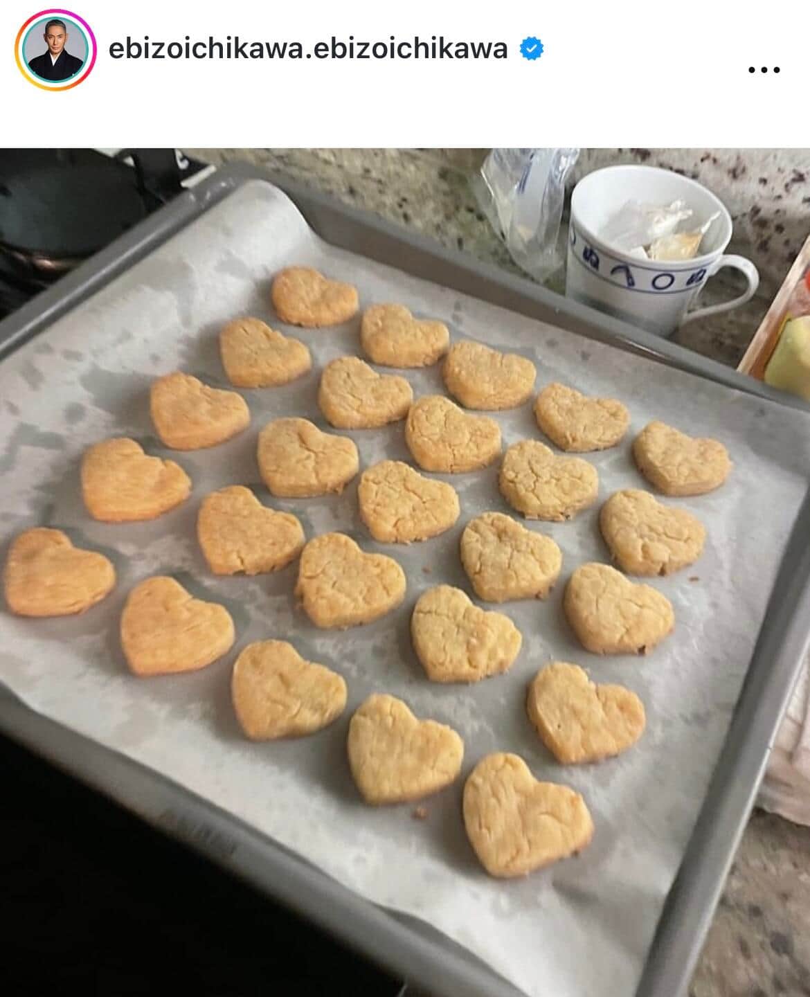 市川團十郎さんのインスタグラム（＠ebizoichikawa.ebizoichikawa）より