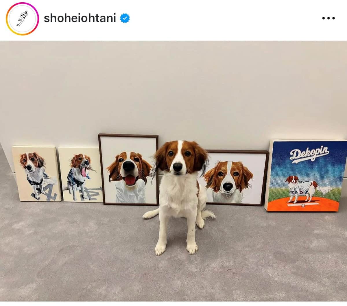 愛犬デコピン（大谷のインスタグラムより）
