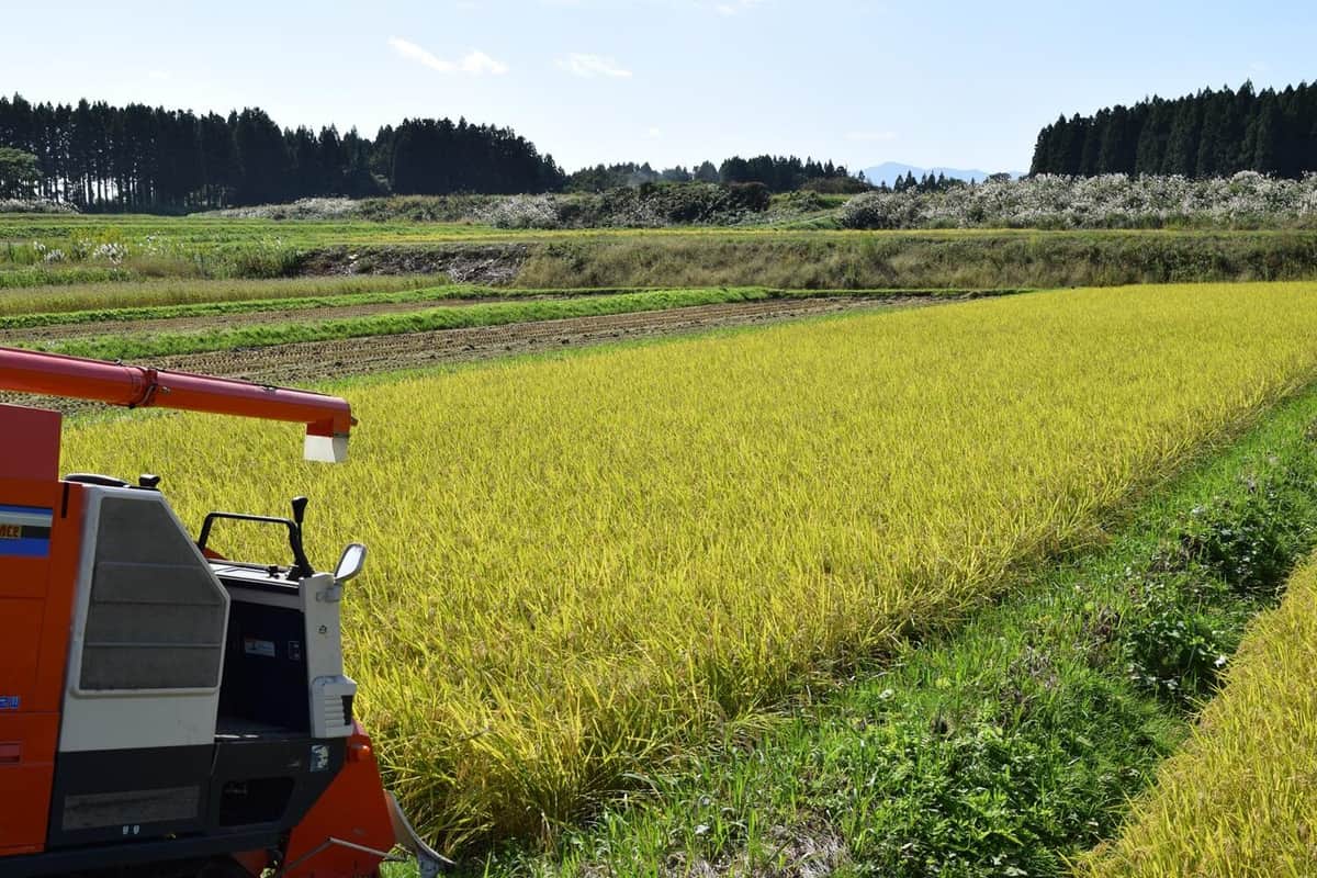 コンバインをめぐる発言が波紋を広げている（写真はイメージ）