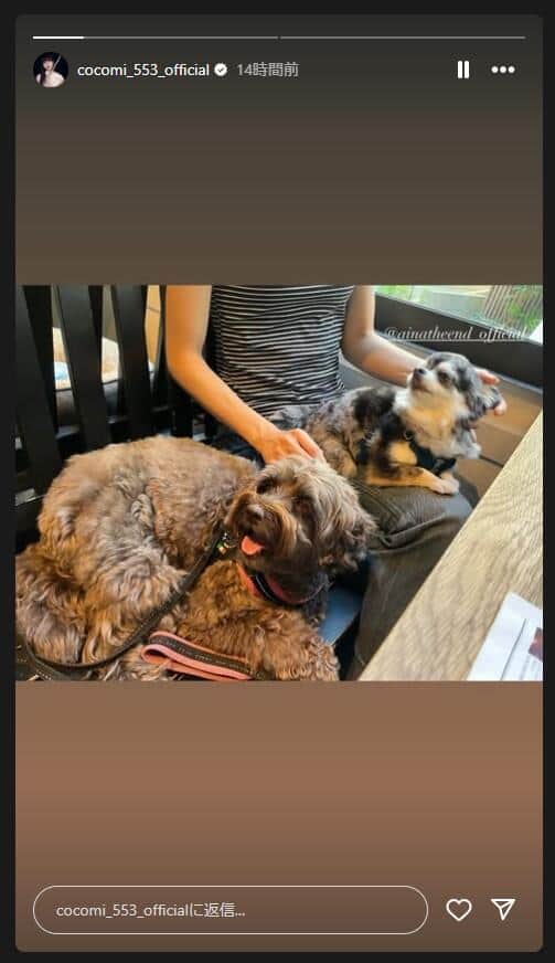 Cocomiさんのインスタグラム（＠cocomi_553_official）より