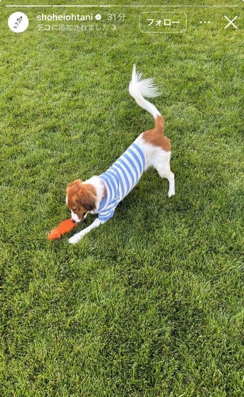 大谷翔平選手のインスタグラム（＠shoheiohtani）より