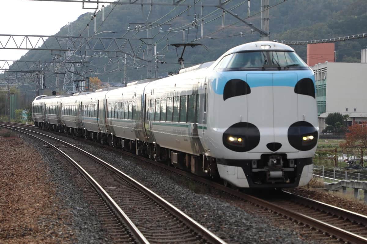 ラッピング電車「パンダくろしお」、パンダ帰国後も運行継続　JR西日本「楽しい思い出に感謝」
