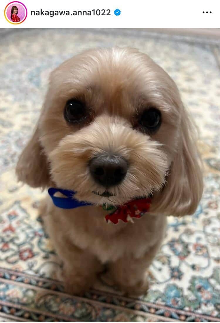 中川安奈さんのインスタグラム（＠nakagawa.anna1022）より