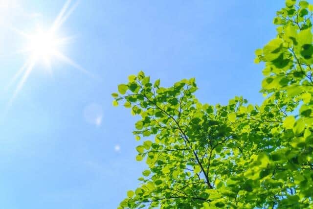 暑い日々「10月中旬くらいまで」と石原良純　異常気象がもたらす食料とエネルギー問題、そして