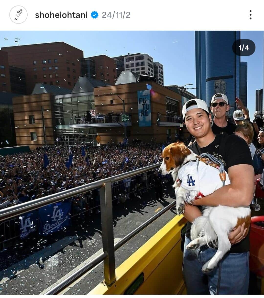 大谷翔平の愛犬デコピン、プールで気持ちよさそう　目を閉じスイスイ...ずぶ濡れショットも