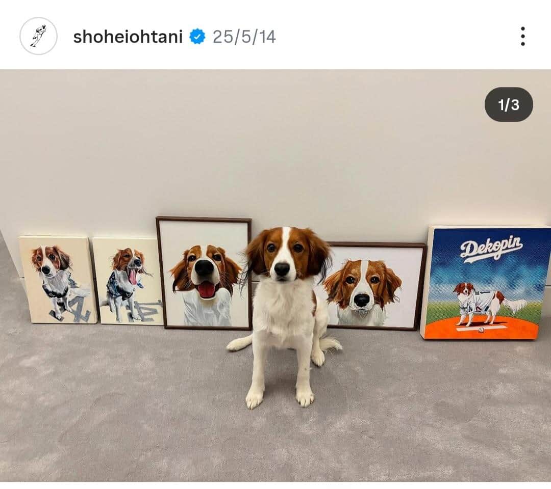 大谷翔平選手のインスタグラム（＠shoheiohtani）より