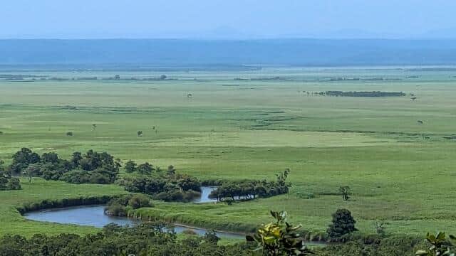 釧路湿原