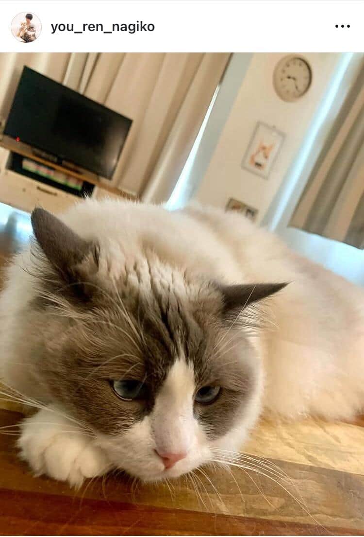 遠野なぎこさんのインスタグラム（＠you_ren_nagiko）より