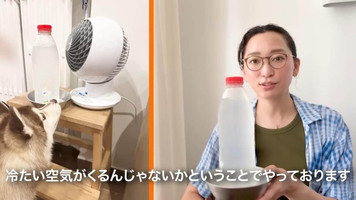 杏さんのYouTubeより