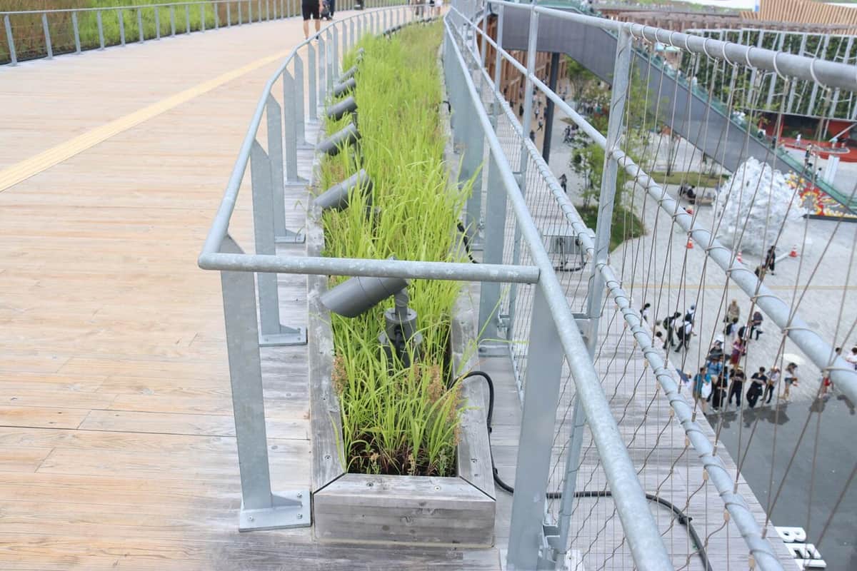 大屋根リング上の花壇