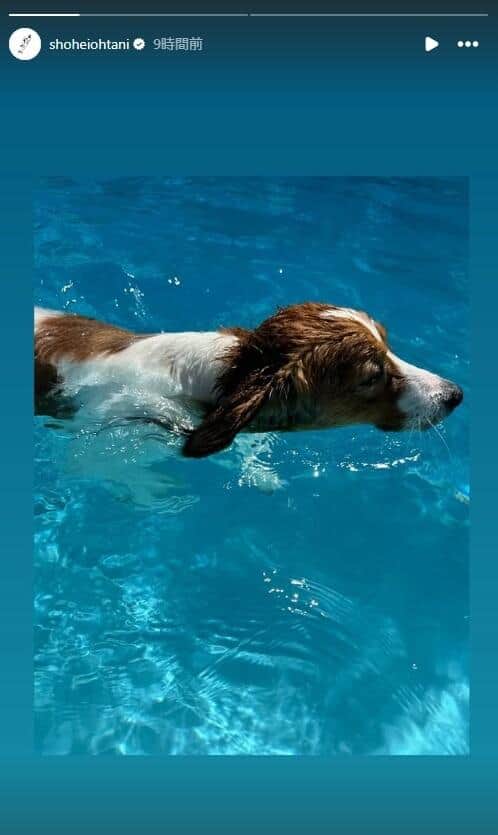 大谷翔平選手のインスタグラム（＠shoheiohtani）より