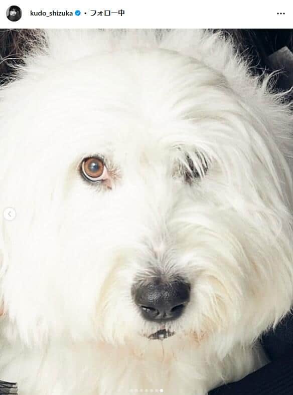 工藤静香さんのインスタグラム（＠kudo_shizuka）より