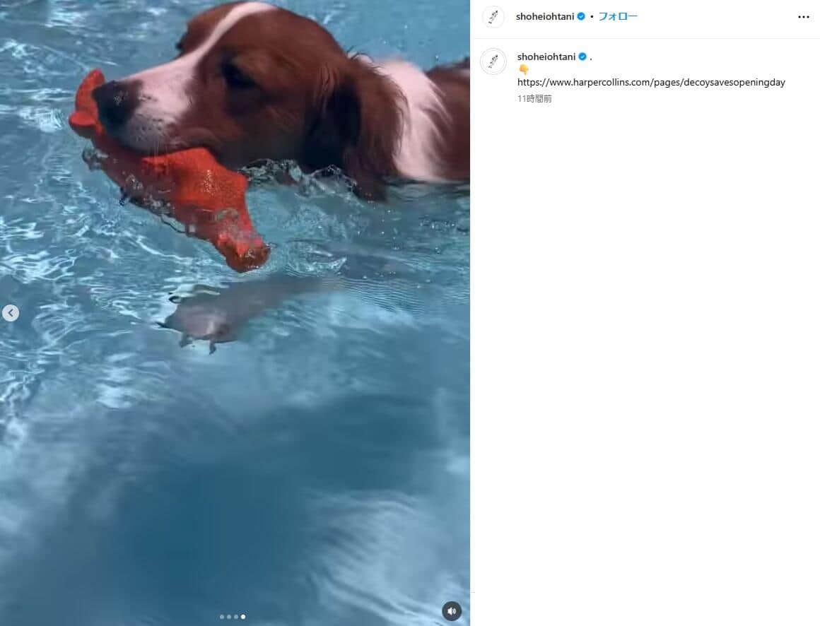 大谷翔平選手のインスタグラム（＠shoheiohtani）より