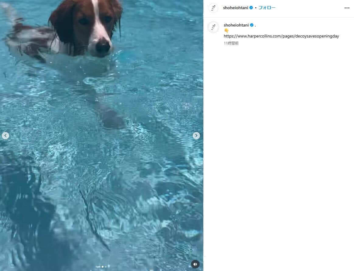 大谷翔平選手のインスタグラム（＠shoheiohtani）より