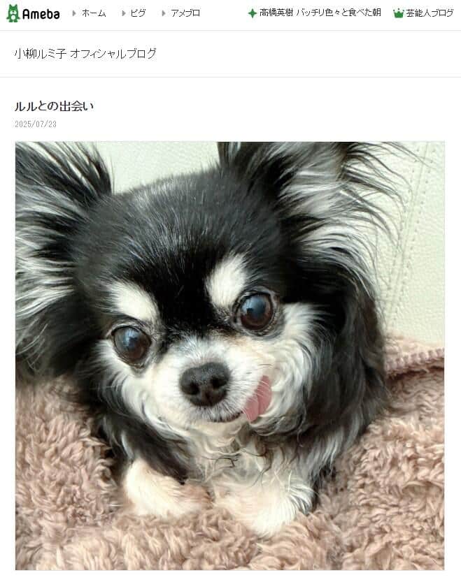 小柳ルミ子さんが2025年7月23日に公開したブログエントリーより