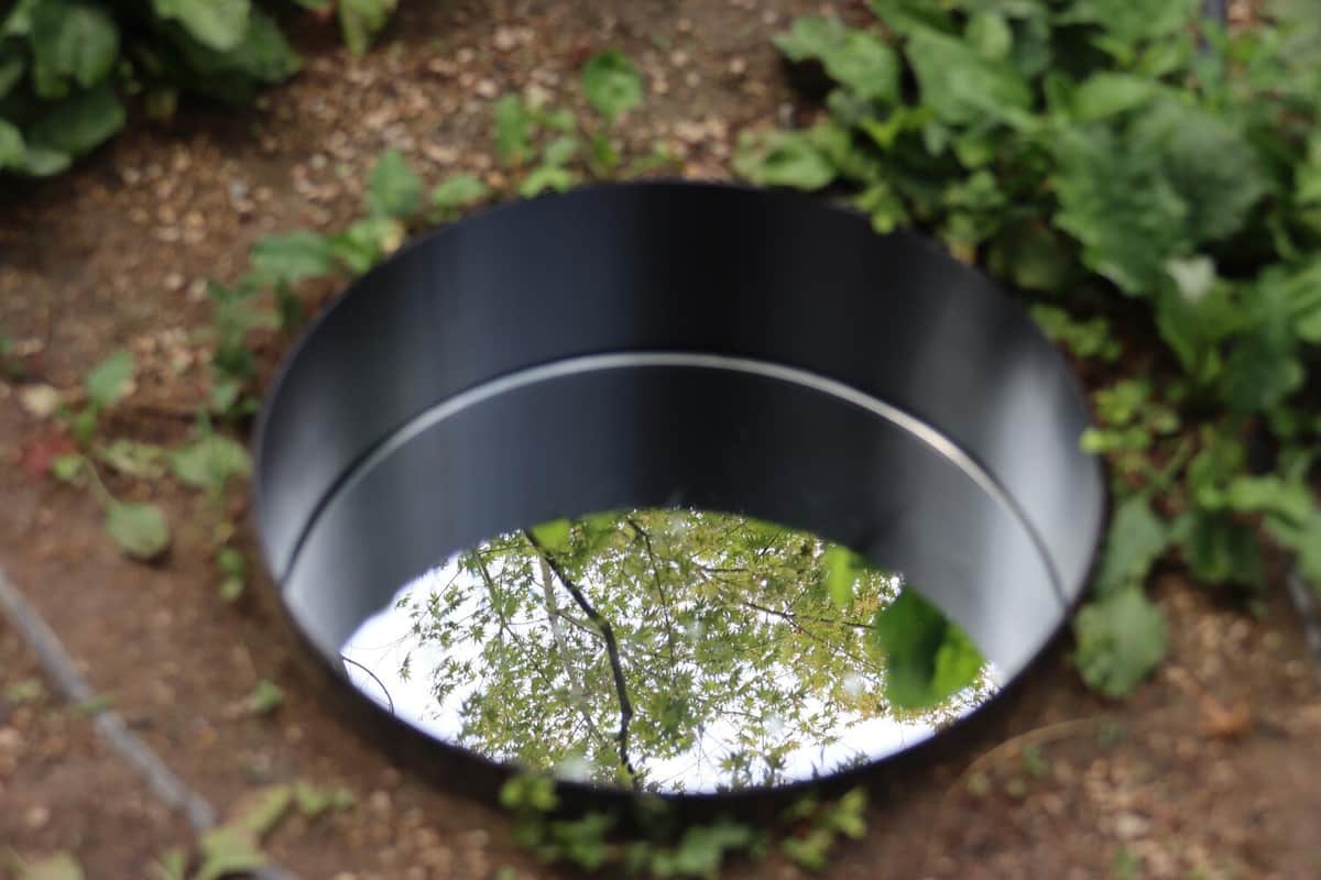 オノ・ヨーコさんのアート作品