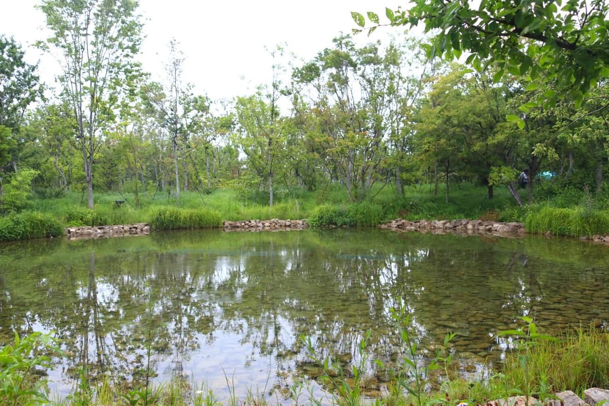 万博・静けさの森