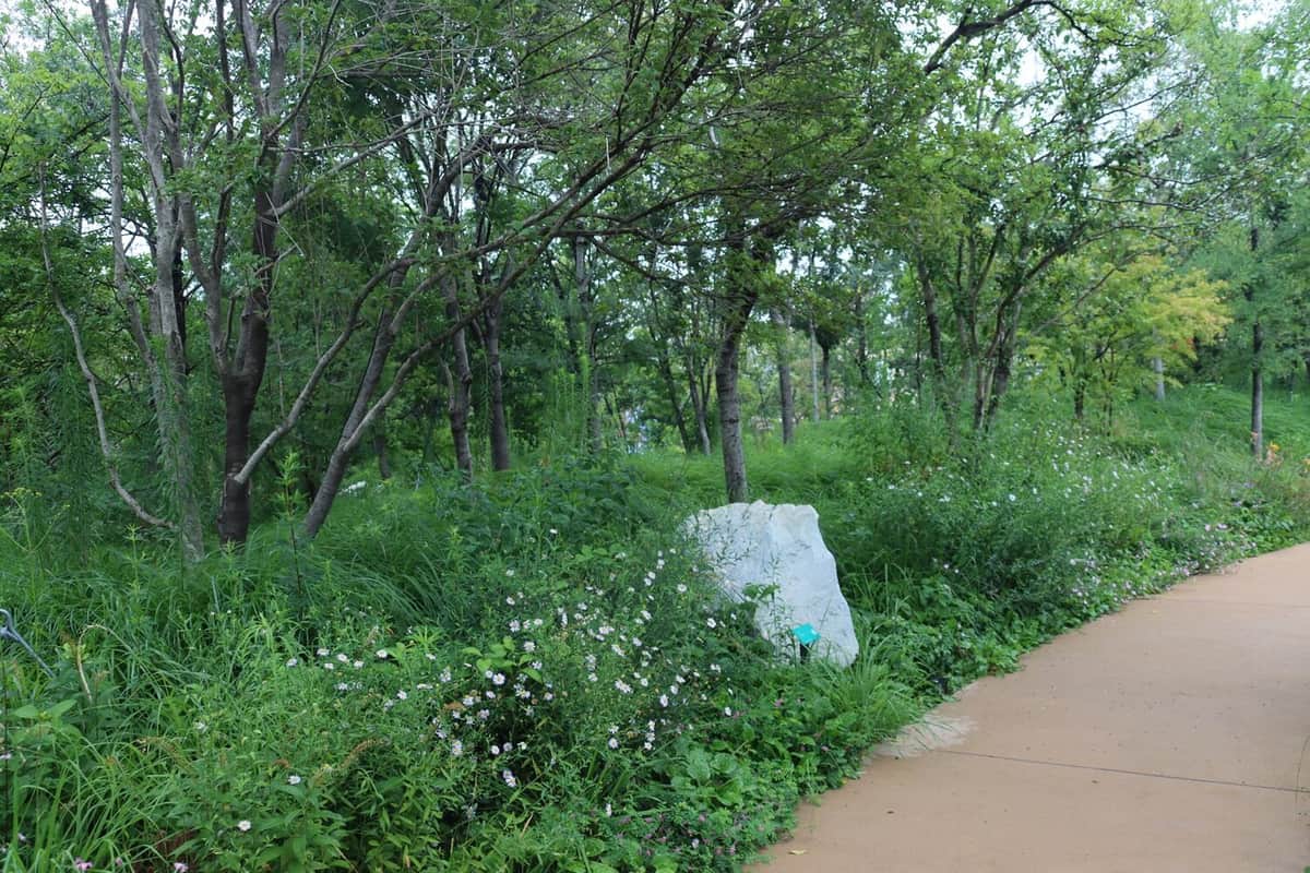 万博・静けさの森