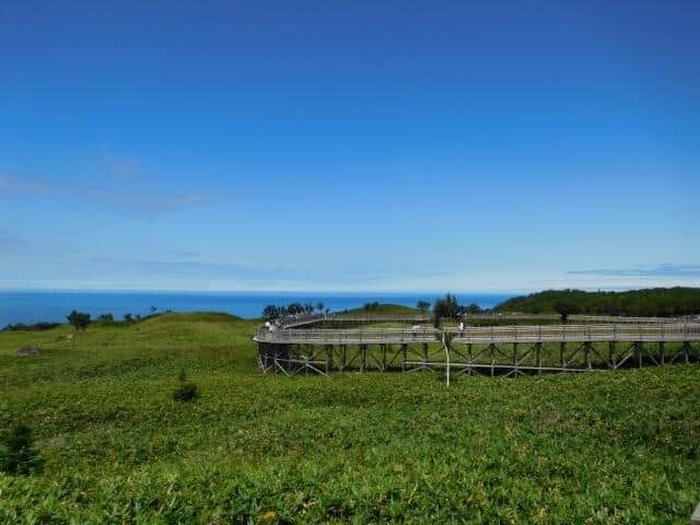 ヒグマに車の窓からお菓子投げ...知床で「餌付けが疑われる事案」　「絶対にやめて」自然保護団体が危険性訴え