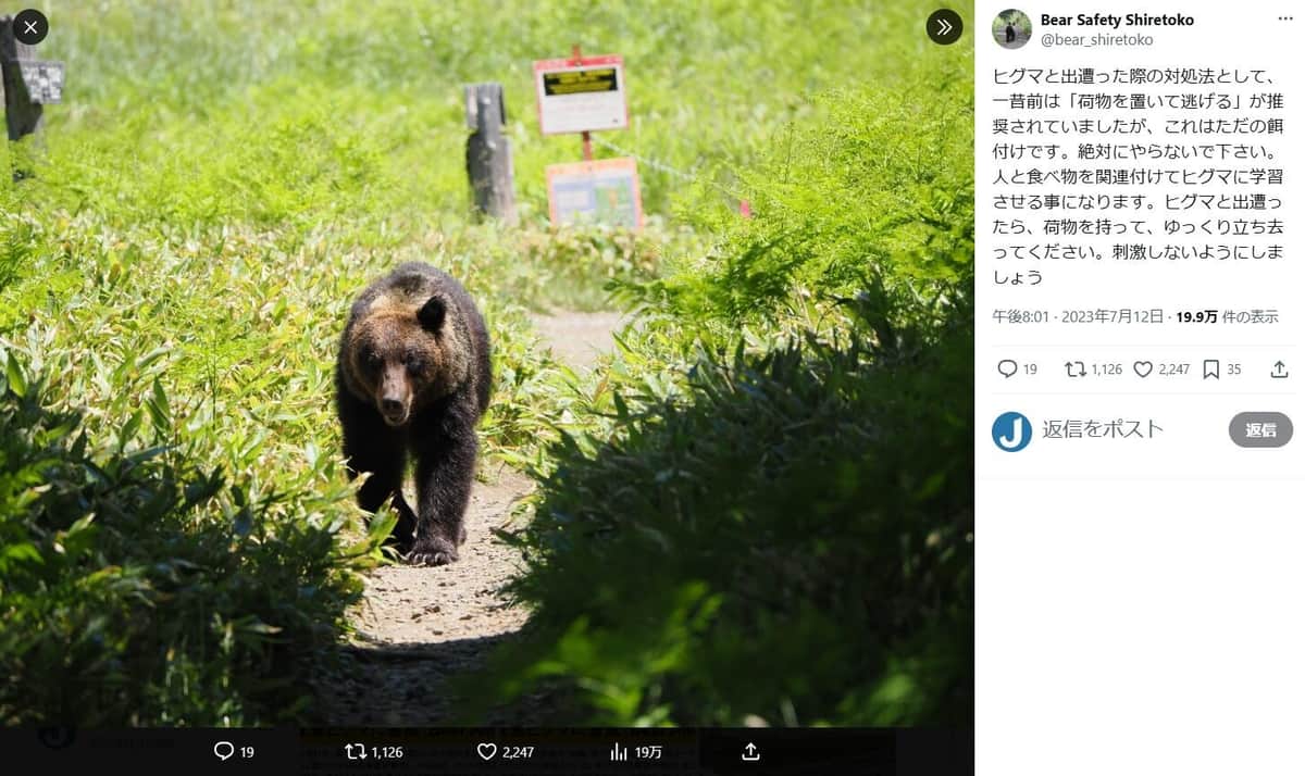 知床財団のXアカウント「Bear Safety Shiretoko」（＠bear_shiretoko）より