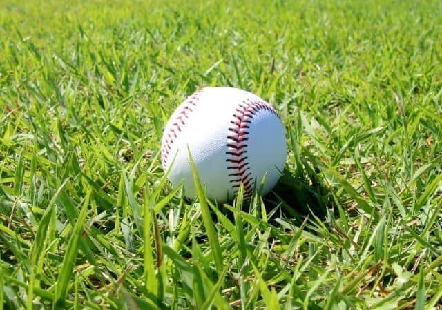 プロ野球セ・リーグ　27年シーズンからDH制を導入へ「時代の変化を感じる」「面白味は無くなるわな」