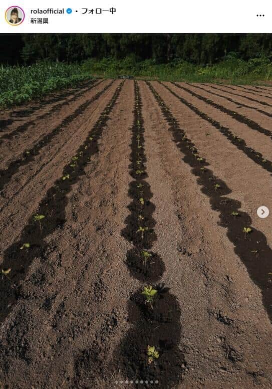 ローラさんのインスタグラム（＠rolaofficial）より