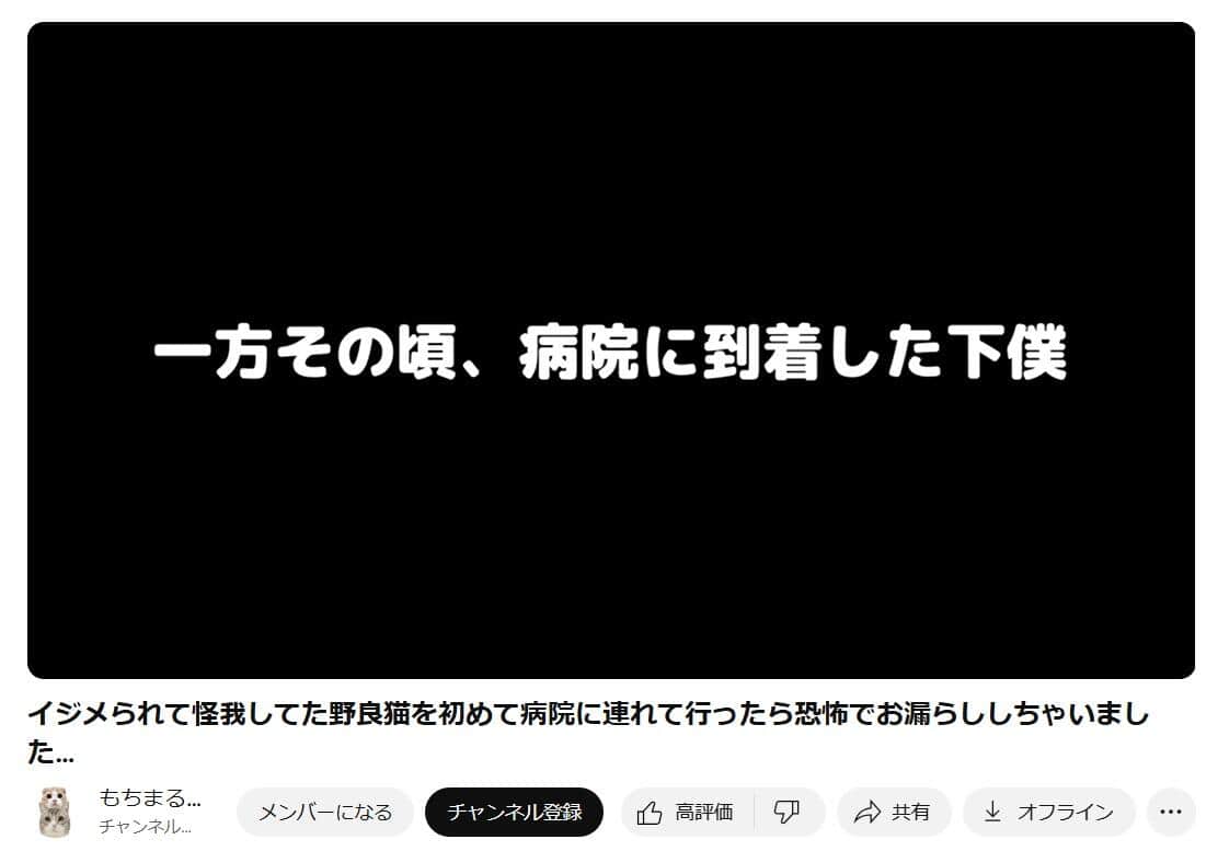 「もちまる日記」YouTubeチャンネルより