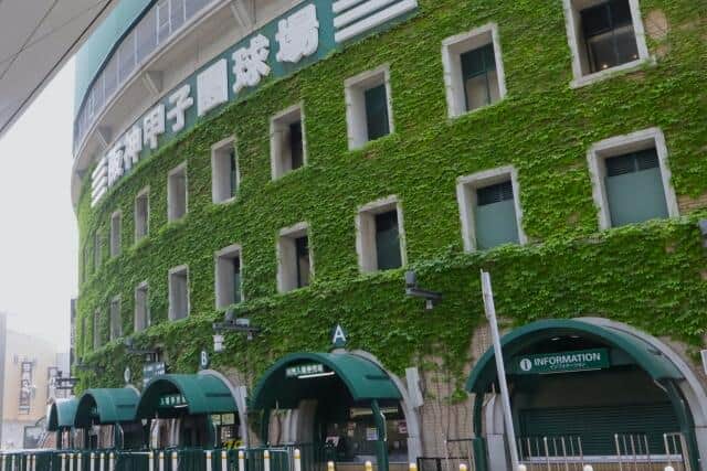 甲子園が行われている兵庫・甲子園球場