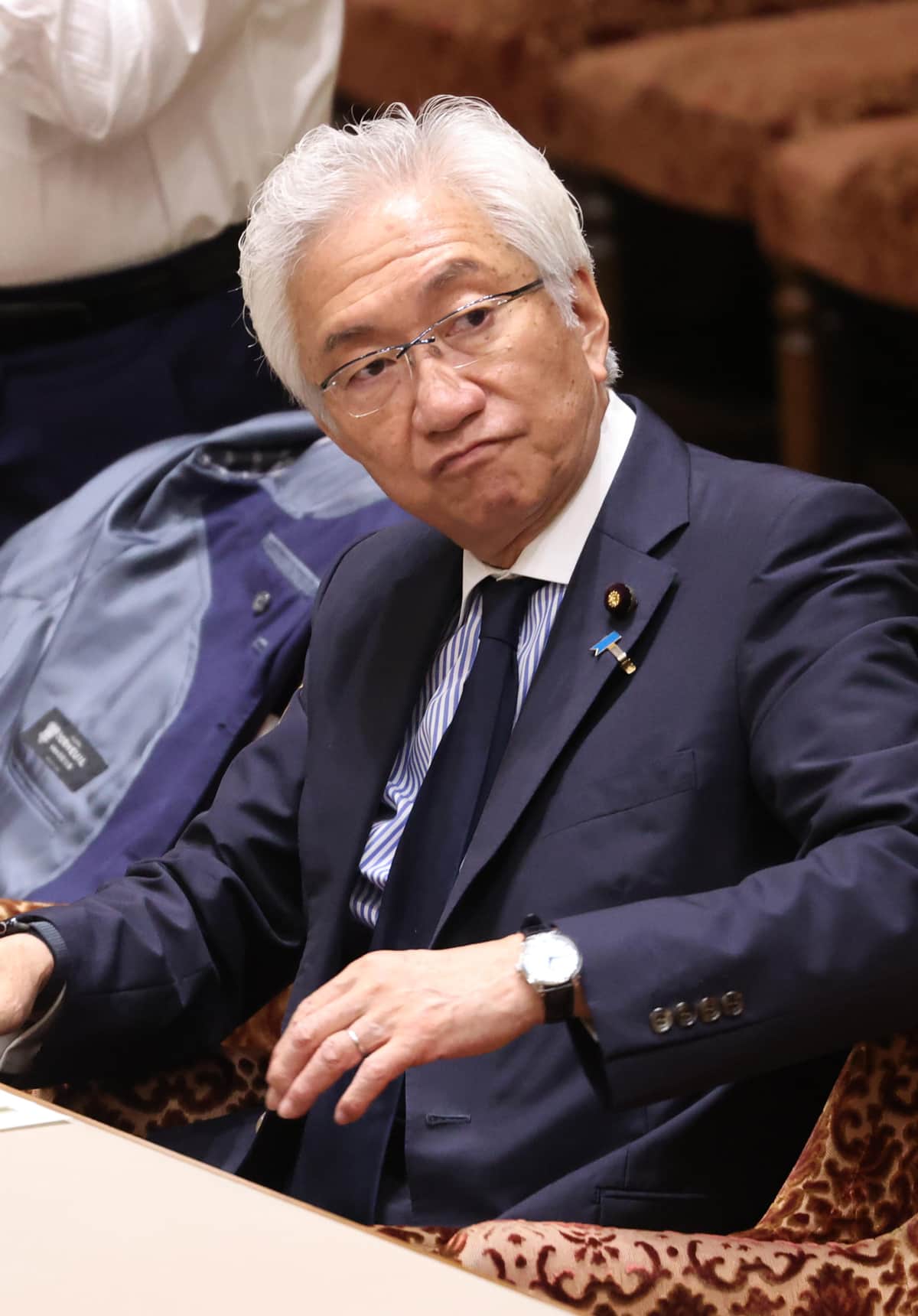 西田昌司参院議員（写真：つのだよしお/アフロ）