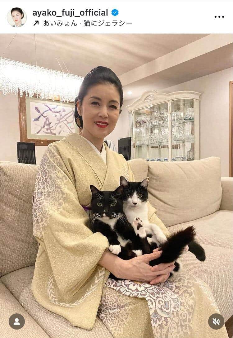 藤あや子、野良猫を保護→新しい家族に　「まだまだ怖がってますがごはんはしっかり」